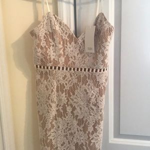New Tobi lace dress with super cute cutouts.